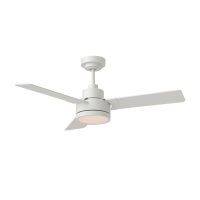 Ebie 44'' Ceiling Fan with LED Lights