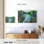Avery Birch Pond-108733052
