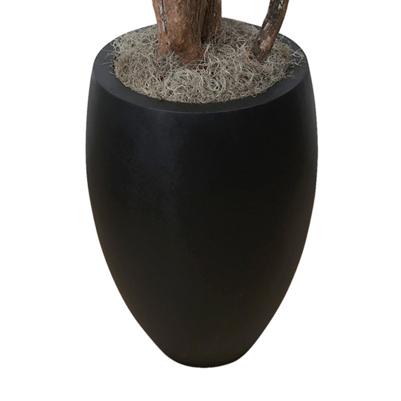 Seeded Eucalptus Tree in a Fiberstone Planter