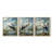 Aviary Study  Series  XXXVII  -Set Of 3 Framed Giclee Prints -Ready to Hang-107257523-107257521