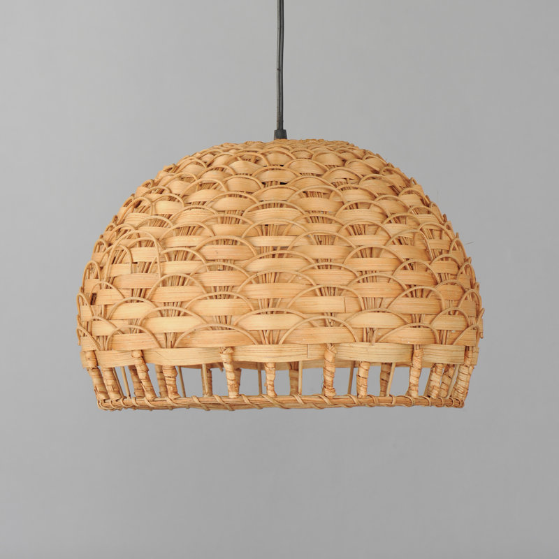 Luminaire suspendu noir à 1 lumière Woodsdale