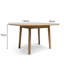 Tenaya Extending Dining Table-1471701581