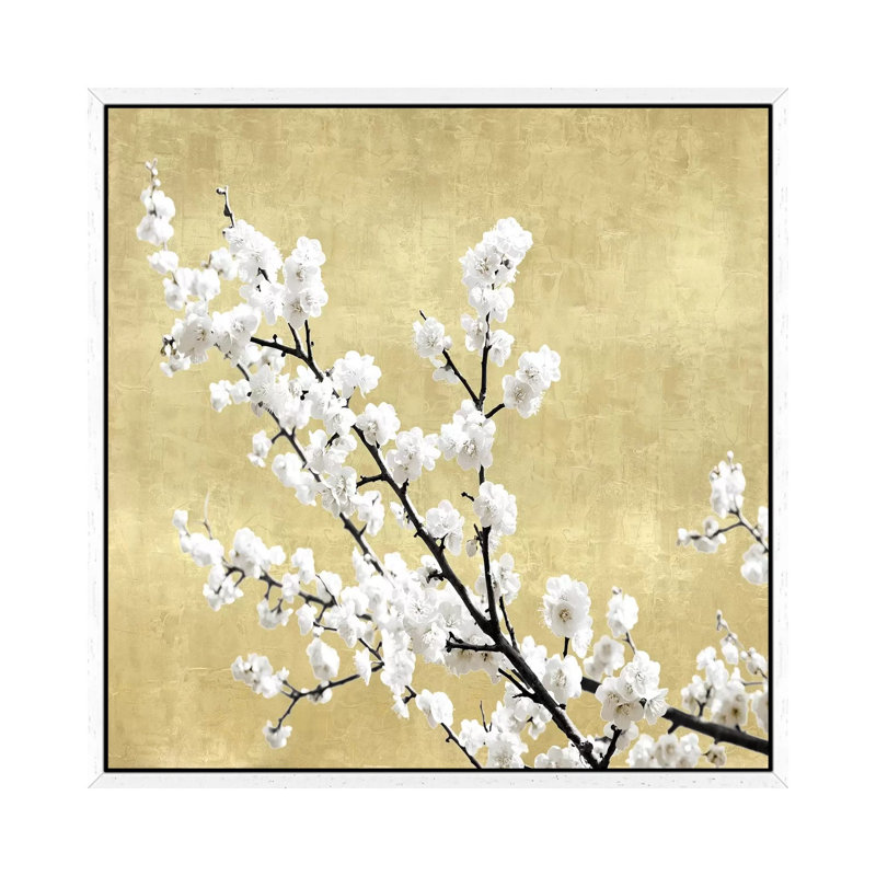 Blossoms On Gold I by Kate Bennett - Print on Canvas, White Framed, 93.98cm H x 93.98cm W x 3.81cm D