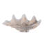 Keaton Vongole large