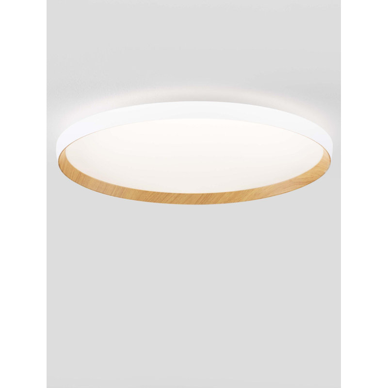 Flush Mount