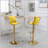 Nakyra Swivel Upholstered Adjustable Height Counter Stool with Metal Frame-1966517520