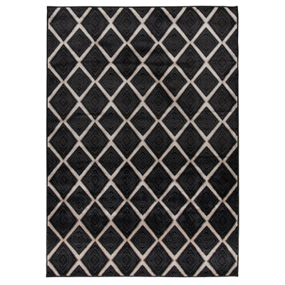Caden Ebony Trellis Indoor Area Rug