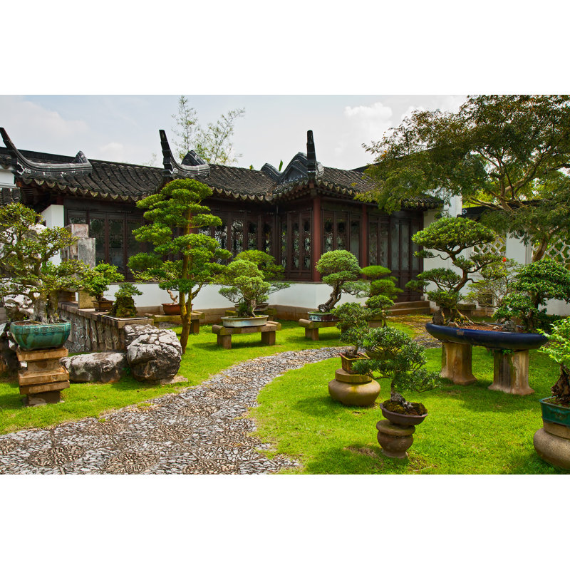 Torrick Garden A Bonsai, Singapore by Yulia-B - Wrapped Canvas Print, 30cm H x 46cm W x 3.8cm D