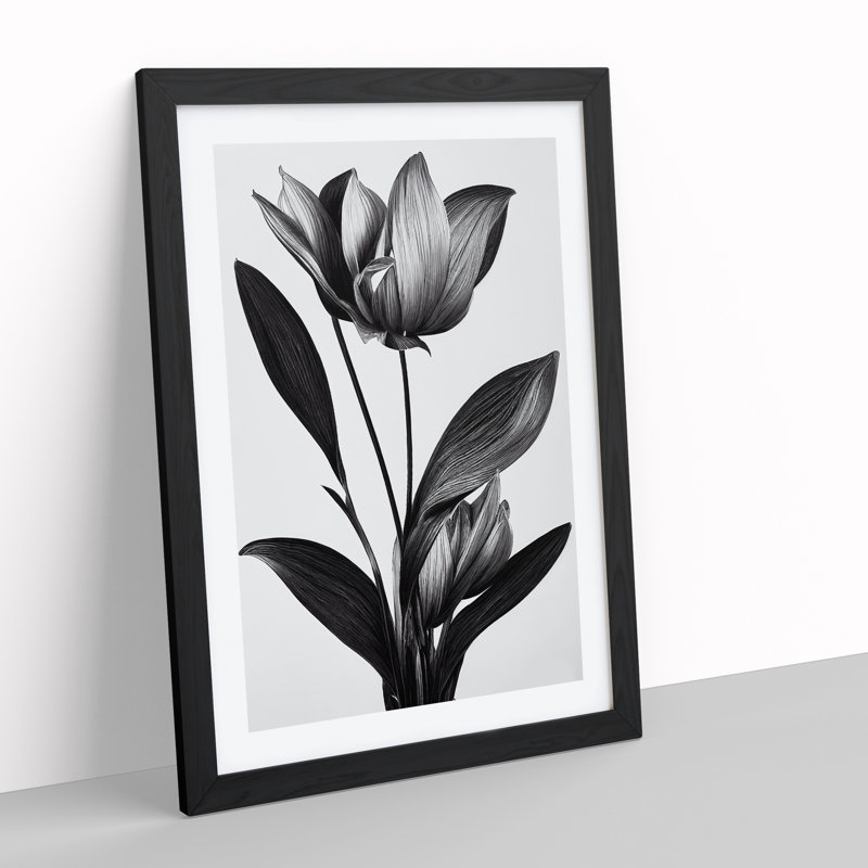Monochrome Flower - Framed Print, Black, 46cm H x 34cm W x 2cm D