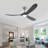 Christela Netrapal Ceiling Fan with LED Lights-119159337
