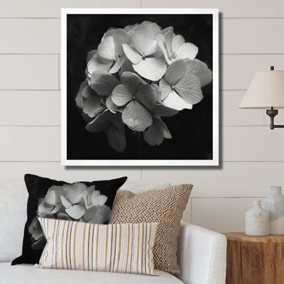 " Gray White Hydrangea Bloom I "