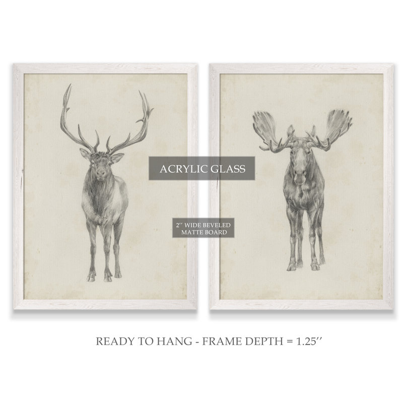 «Moose Study» par Antonyus Bunjamin (Abe), ensemble de 2 reproductions d'art sur toile, H 24 po x l 18 po, Toile encadrée