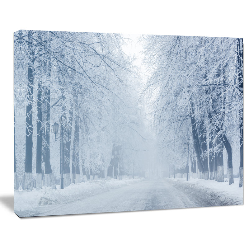 Road and Winter Trees - Reproduction de photo sur toile tendue, H 8 po x l 12 po x P 1 po