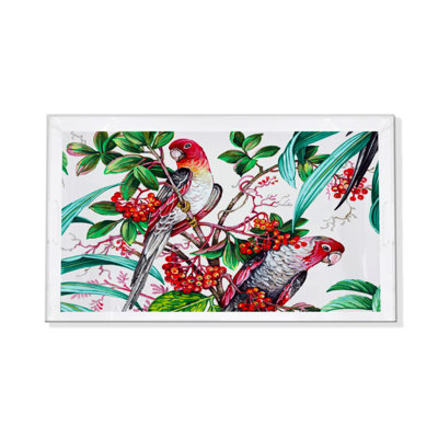 Plateau décoratif rectangulaire perroquet rouge acrylique