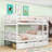 Callas Full over Full Bunk Bed with Built-In Ladder-579243331