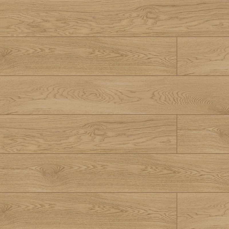 Evoque 8X48 Miele, Beige