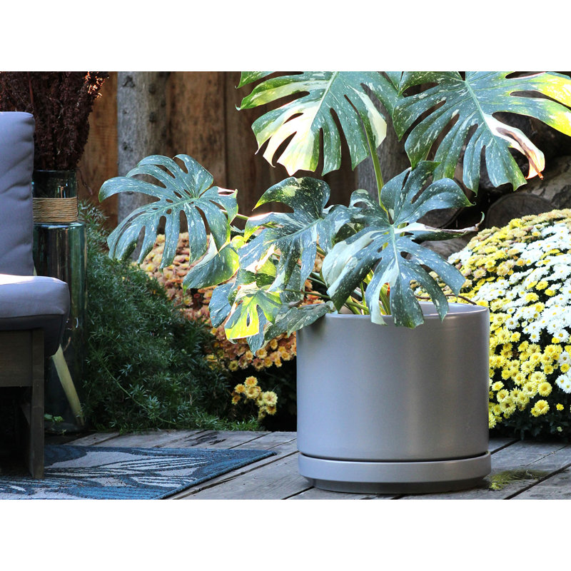 Mid Modern Planter with Detached Saucer Small Stoneware Clay Pot - Indoor, Just Grey