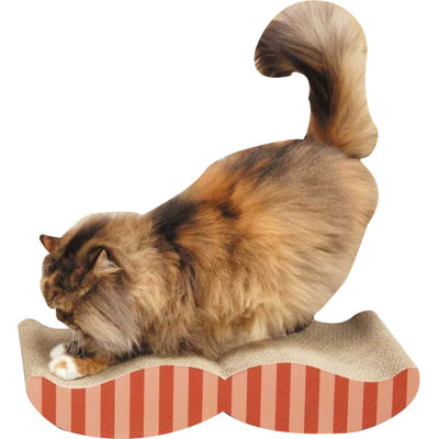 Rowlett Scratching Post