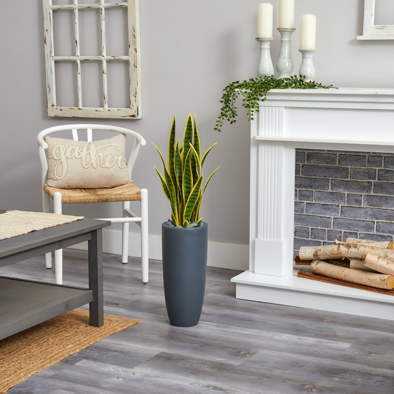 Sansevieria, plante serpent artificielle en pot