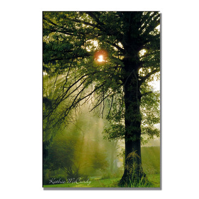 " Magical Tree " by Kathie McCurdy