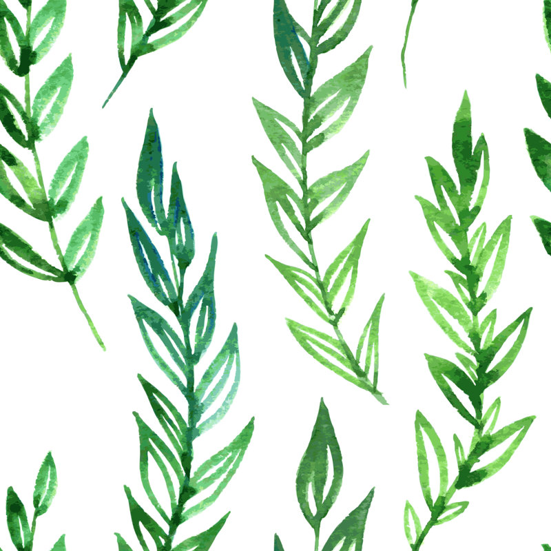 Rouleau de papier peint adhésif Ives Fern, L 16,67 po x l 25 po