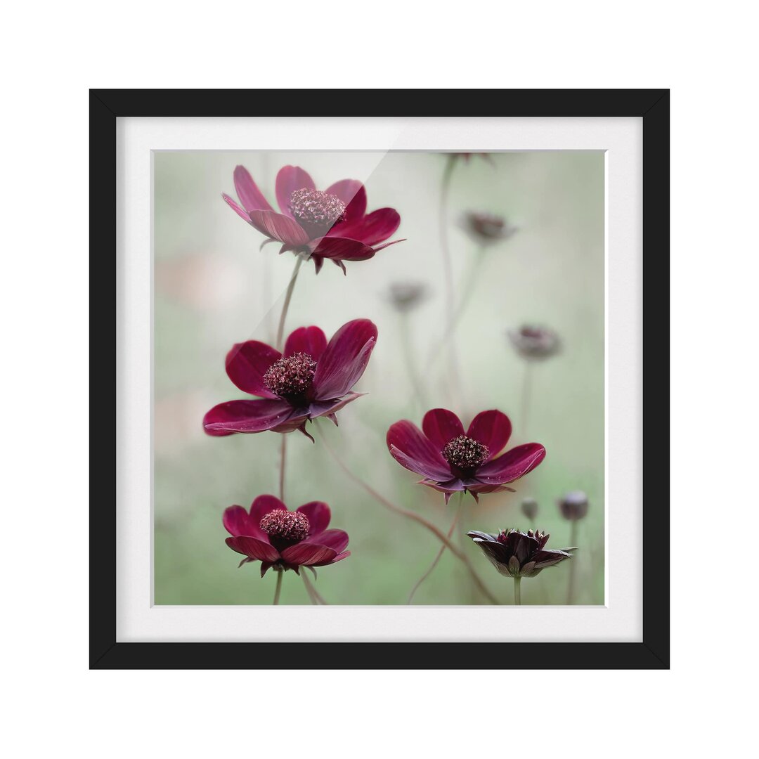 Gerahmtes Poster Pink Flowers