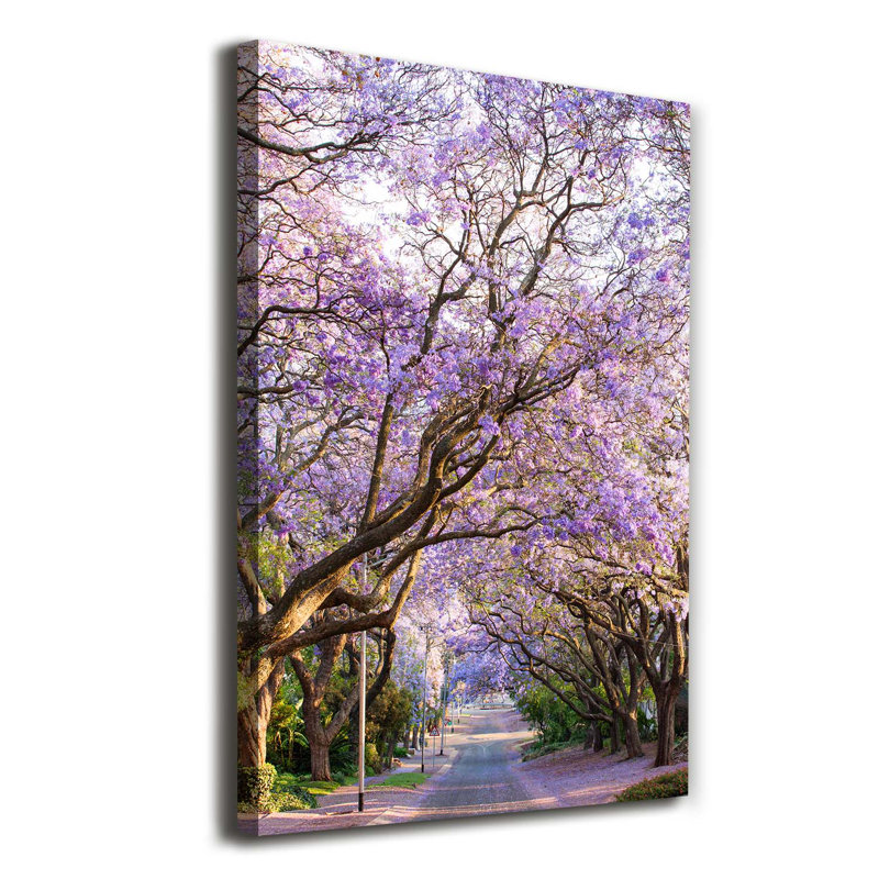 The Jakaranda Path - Wrapped Canvas Print