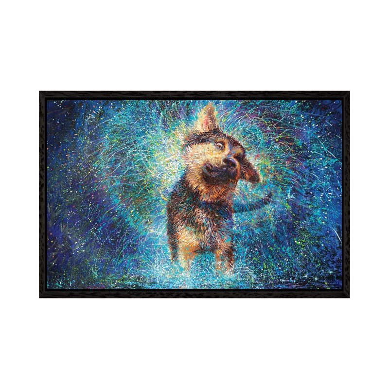Salvador II by Iris Scott - Print on Canvas, Black Framed, 101.6 cm H x 66.04 cm W