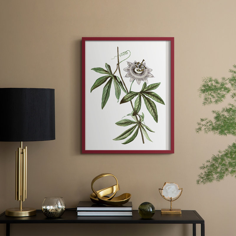 Tropical Botanical I, reproduction encadrée - bois massif, H 30 po x l 24 po, Rouge