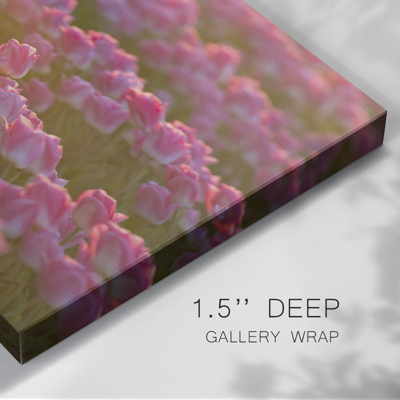 Field of Tulips I-Gallery, toile tendue, H 12 po x l 18 po