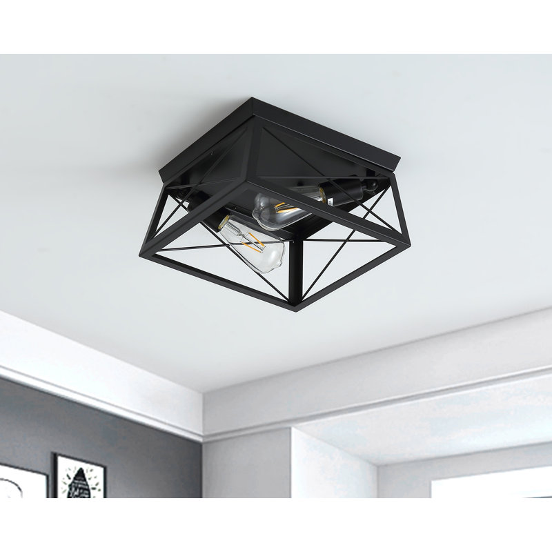 2-light Black Finished Cage Classic Modern Dimmable Flush Mount Light