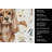 Ruby Cavalier Spaniel Coffee Bar Kitchen Towel-1168063022