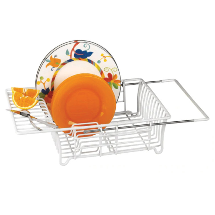 https://assets.wfcdn.com/im/84994169/resize-h755-w755%5Ecompr-r85/2118/211850175/Steel+in+Sink+Dish+Rack.jpg