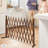 Extendable Instant Fence