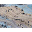 Hand Knotted Wool Area Rug