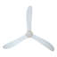 Ventilateur de plafond Zionne-1118945863-1118945865-1118945871