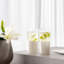 Manufacture Rock Blanc Highball Glass