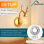 Ensemble de 2 lampes murales modernes en laiton brossé avec 60 DEL, lumière blanche chaude 3000K - applique murale en bois de cerf convenant à la chambre à coucher, Noël, décoration de la Saint-Valentin - installation facile, commande par interrupteur (sans gradateur), métal, décoration de Noël