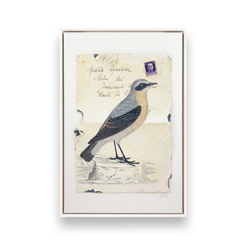 «Wheatear» par Deborah Revell, reproduction d'art, Cadre flottant, H 24 po x l 18 po, Blanc