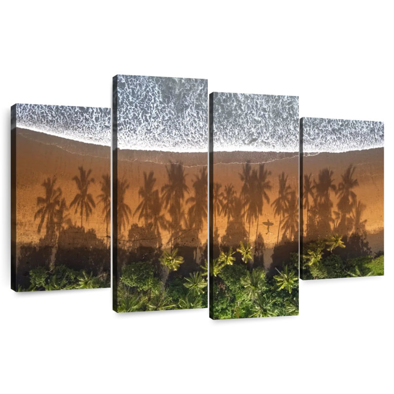 Gillard Palms Shadows