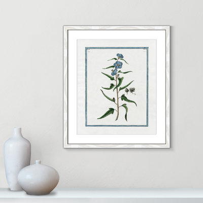 Colombe Shabby Elegance Botanical I - Art encadré avec fond perdu