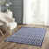 Feliciano Geometric Wool Hand Woven Area Rug