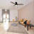 48" DC Motor 3 Blades Pull-chain Ceiling Fan with LED  Light-308378437