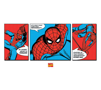 Spider-Man Triptych Graphic Art Print