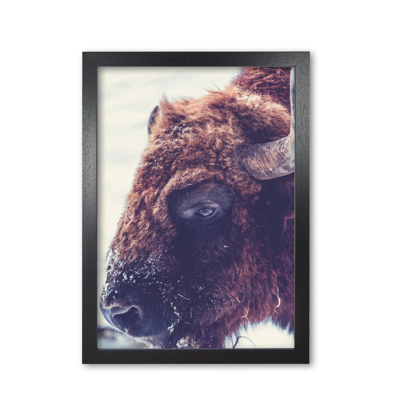 Bull - Print, Black Grain Frame, 42 cm H x 30 cm W x 5 cm D