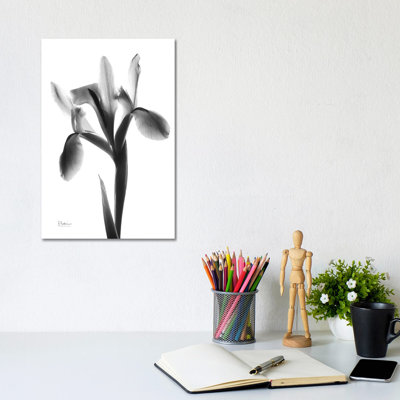 Midnight Le Fleur by Albert Koetsier - Wrapped Canvas Print