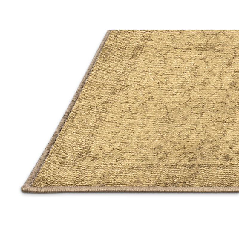 Tapis contemporains brun lavable à la machine 546, Rectangle 2 pi x 4 pi