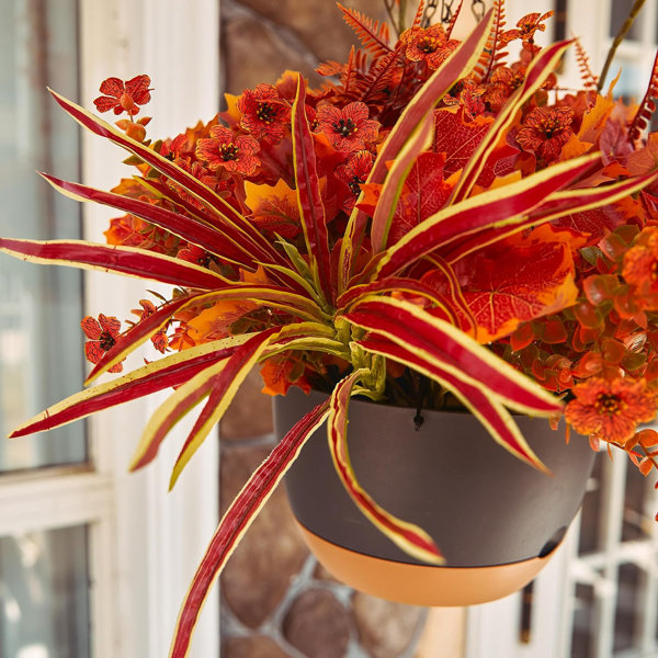 Primrue Orchid Arrangement | Wayfair