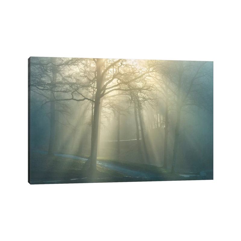 Forest Melody by Ben Heine - Print on Canvas, Wrapped Canvas, 101.6 cm H x 66.04 cm W x 1.91 cm D