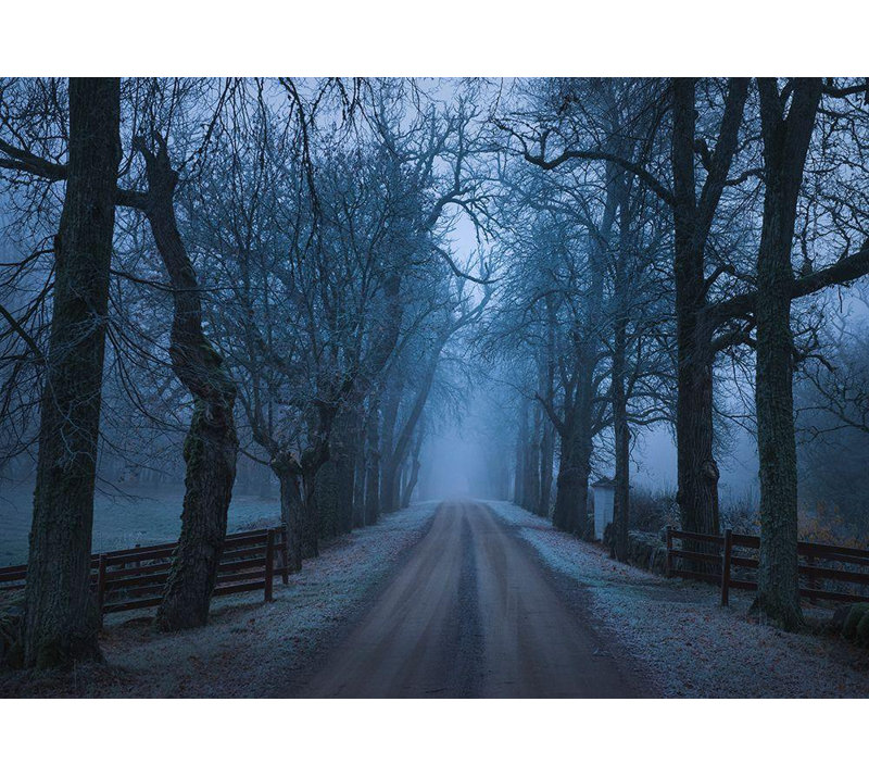Reproduction d'art sur toile tendue Loon Peak® Lindsten, Christian: Sleepy Hollow, H 35 po x l 48 po